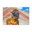 No Frame Print on Canvas-1342096562