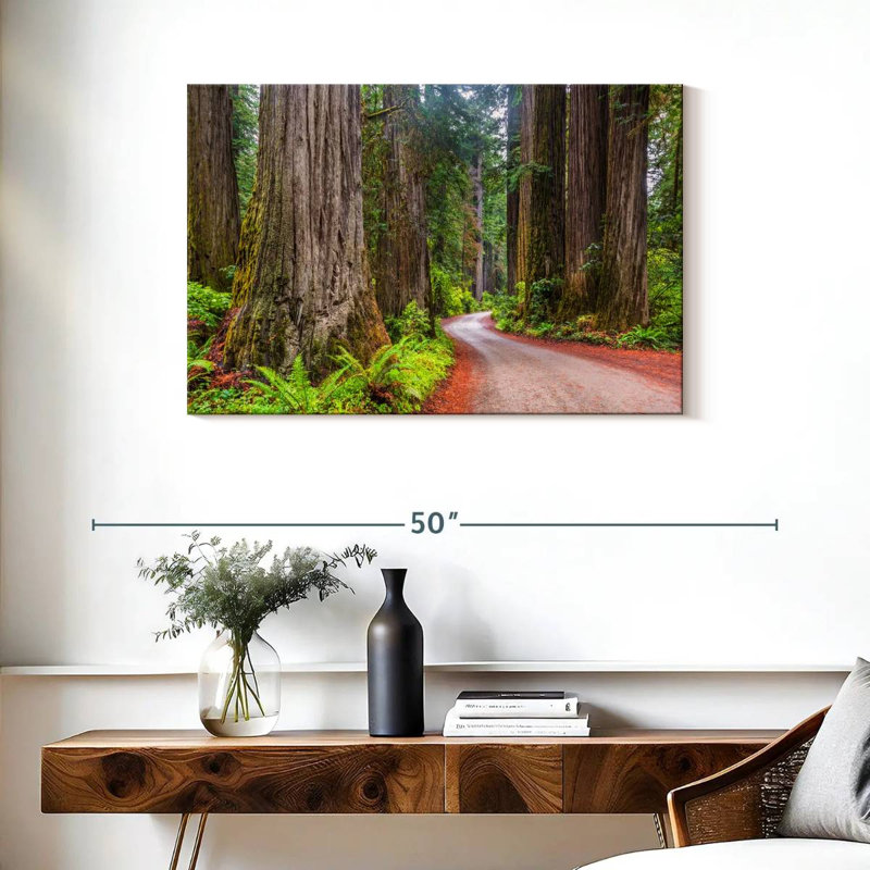 Harnek Redwood Forest Dirt Road, 24" H x 36" W