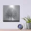  «Winter Trio I» par Nicholas Bell, photographie, art mural en métal, 24 po x 24 po-1194513952