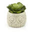 Sprague Ceramic Cachepot