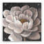«Neutral Fleur I» par Tim O'Toole, art mural en verre acrylique-1937182193