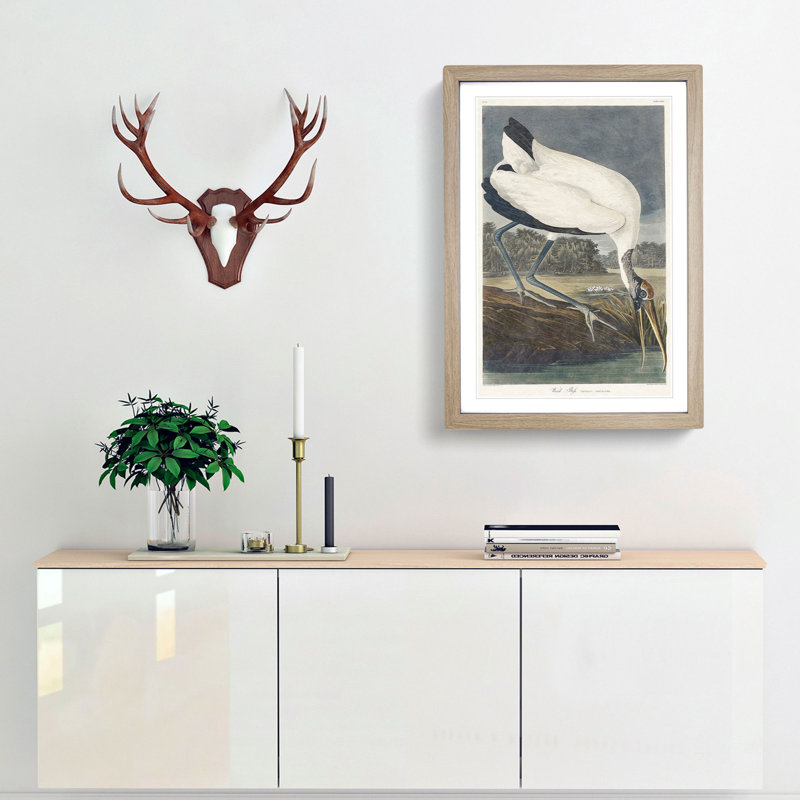 Wood Stork by John James Audubon - Framed Print, 48cm H x 36cm W x 2cm D, Oak Framed