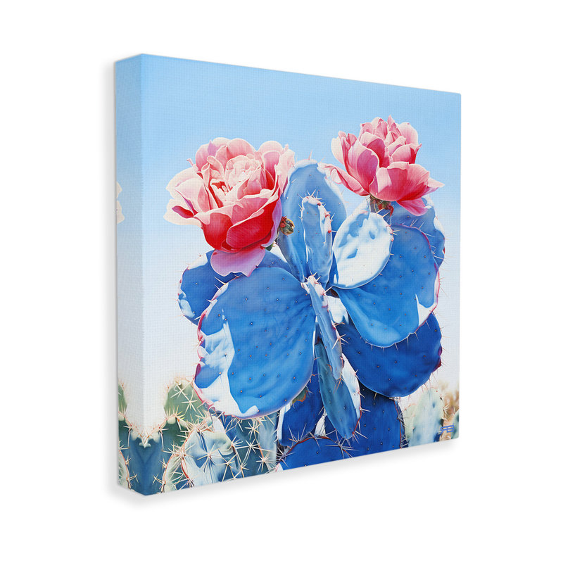 Twin Cactus Blossoms Canvas Wall Art by RB, 24" H x 24" W