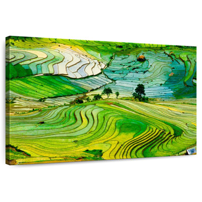 Alvord Lao Cai Rice Terraces