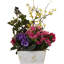 Arrangement floral mélangé dans un pot de fleurs