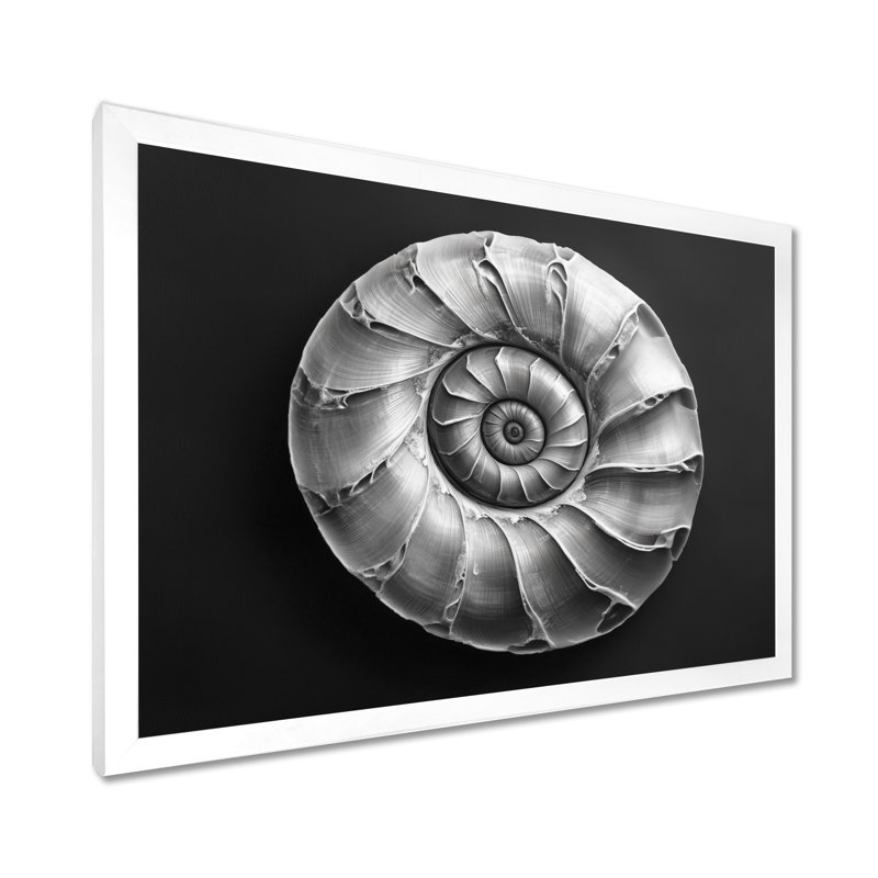 Almehdi II - Coastal Canvas Art Print, H 30 po x l 40 po, White Picture Framed