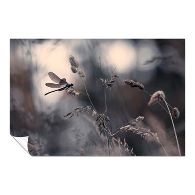 Dragonfly On A Flower Floral Garden - No Frame Print