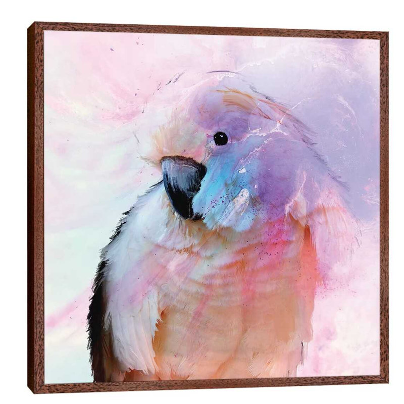 Parrot In Blush by Antuanelle - Floater Frame Painting on Canvas, 45.72 cm H x 45.72 cm W, Brown Framed