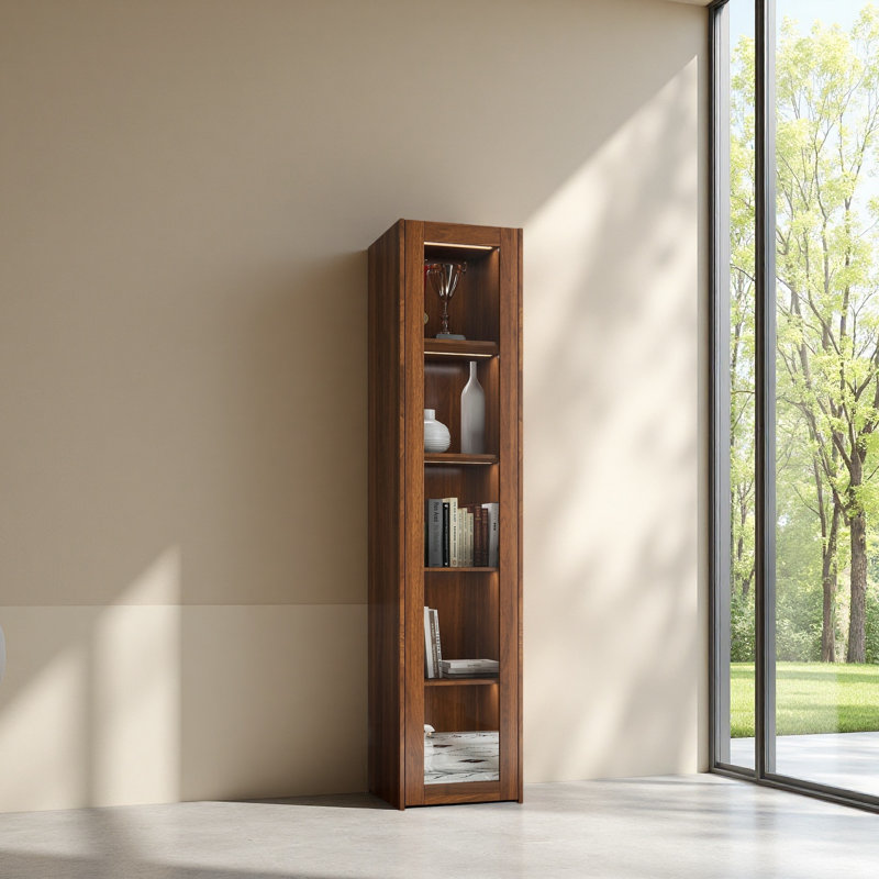 Display Cabinet With Transparent Acrylic Plate Doors, Curio Storage Cabinet With 5 Shelves, Bookcase With LED Lights