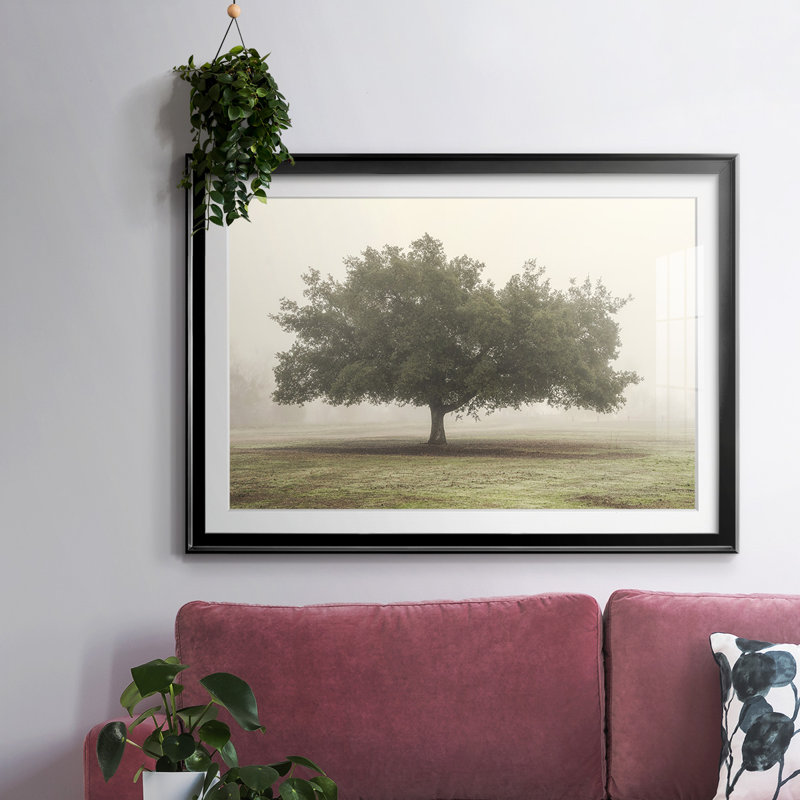 Trees In The Fog II, reproduction d'art encadrée, Noir, H 27 po x l 39 po x P 1,5 po