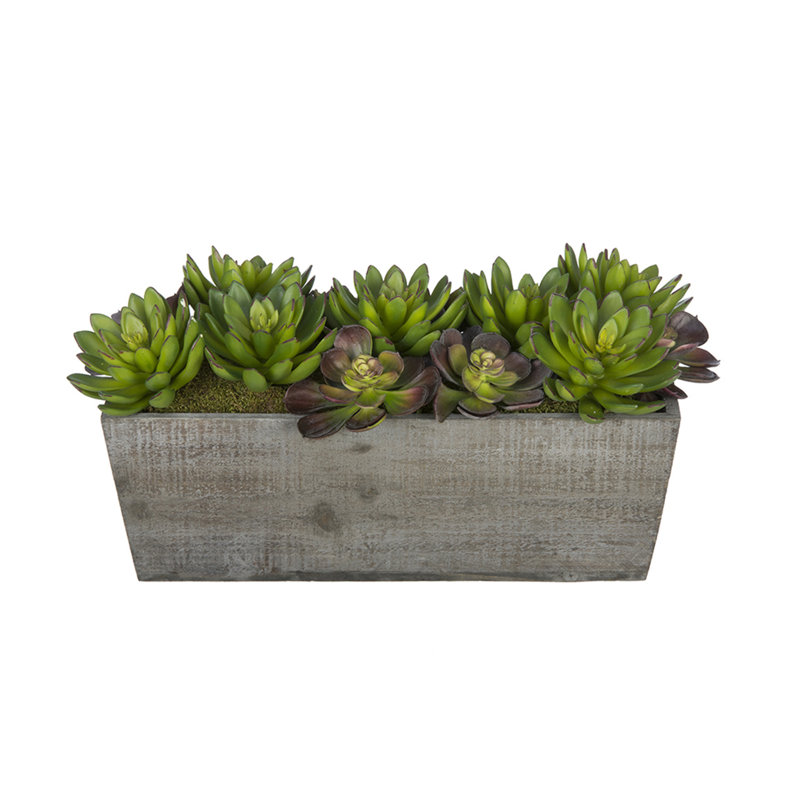 Succulent artificielle 4" en pot, Gris
