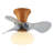 Kosie 21.25'' Ceiling Fan with LED Lights-1224786897