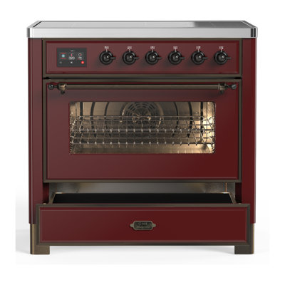 Majestic III Series 36 Inch Induction Range with 6 Induction Elements in Matte Graphite (Chrome Trim)