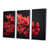 Toile avec cadre flottant noir