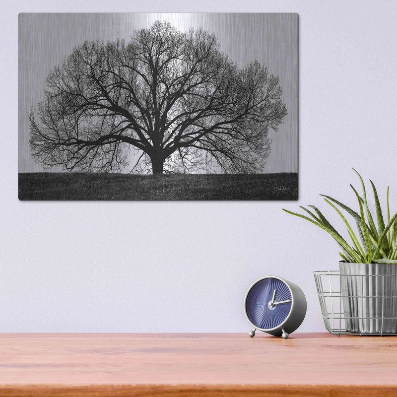 «The Tree» par John Jones, H 12 po x l 16 po