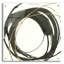 «Gilded Enso IV» par Chris Paschke-1558715570