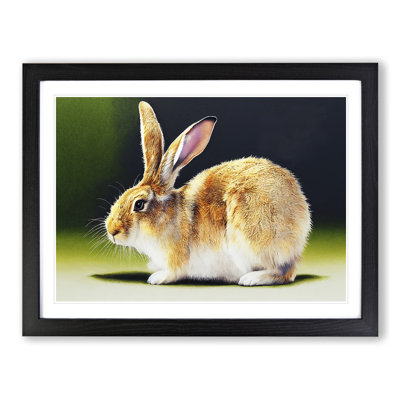 Watercolour Rabbit - Single Picture Frame Print