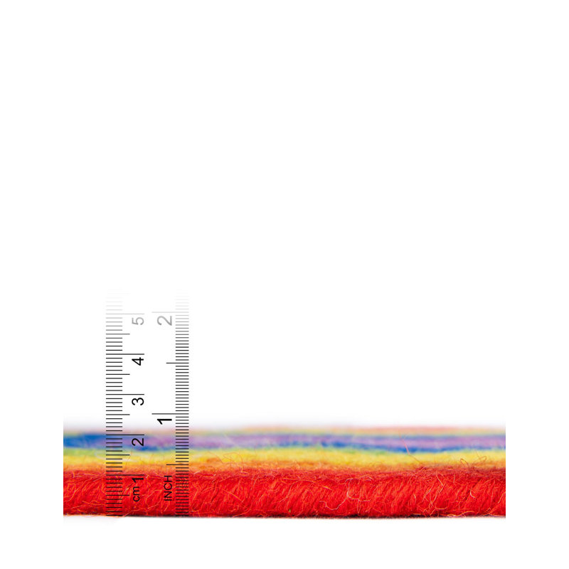 Ebern Designs Hand Braided Rainbow Wool Rug, Runner 2' x 6'1"