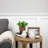 8 " H Faux Plant in Earthenware Pot