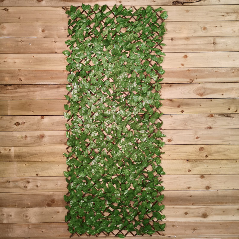 Anthoy 200cm H x 100cm W Plastic Trellis