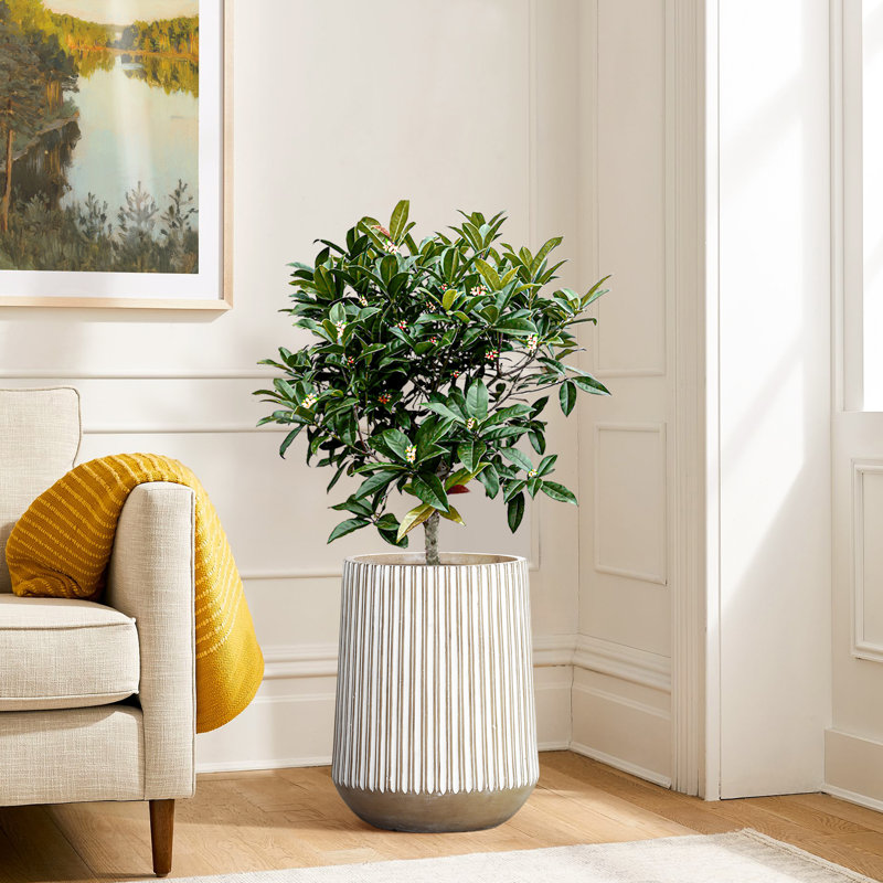 Jarmall Modern Round Pot Planter, Brown and White Striped Handmade Tall Pot Planter, 16.10" H x 12.60" W x 12.60" D