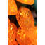Guirlande lumineuse-1173692014