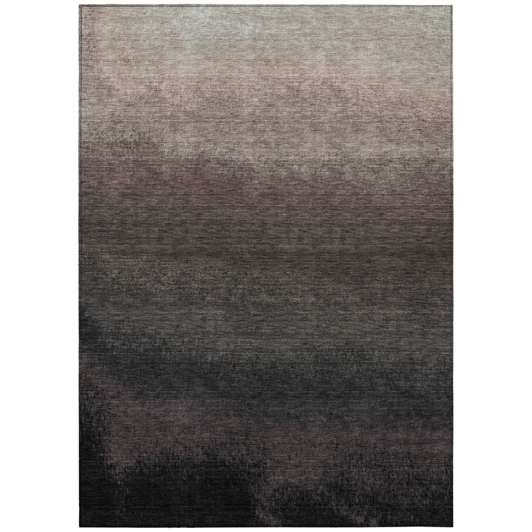 Machine Washable Indoor/Outdoor Xhevrie Black Rug