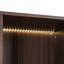 Vitrine lumineuse avec porte en verre trempé, armoire vitrée à cadre en métal, armoire d'appoint