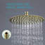 Tête de douche à pluie à angle réglable réglable en acier inoxydable 10 pouces 1,8 gallons par minute avec auto-nettoyage-61830866
