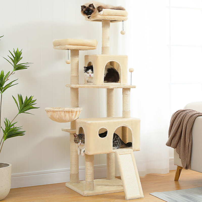 Tour à chat pour chat, Beige
