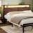 Antioch Bed Frame with LED Light and Charging Station, Metal Frame with Storage Headboard, Large Storage Space, No Spring Box Needed-109575521-93373532