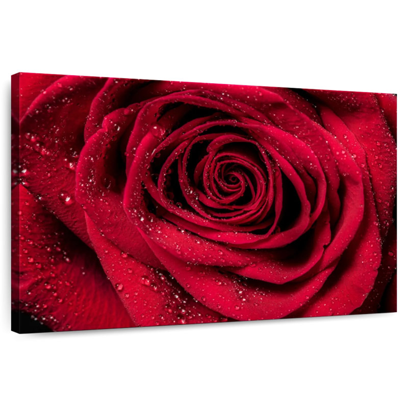 Rosée rouge veloutée Harnek, H 20 po x l 30 po