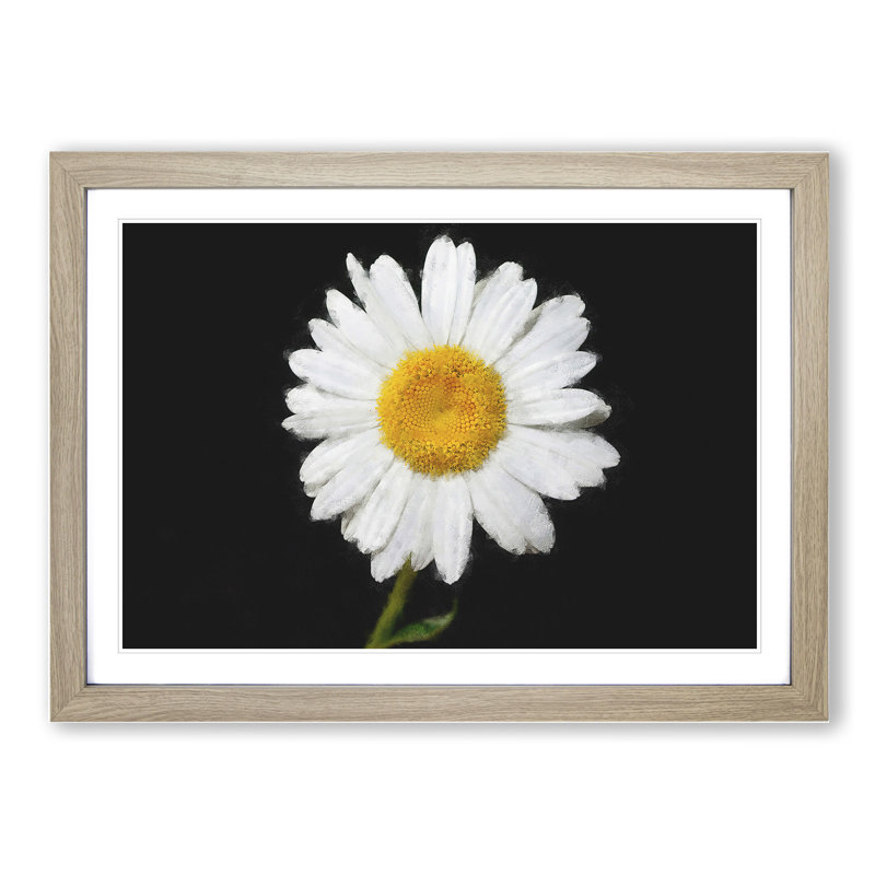White Daisy Vol.6 Painting - Picture Frame Graphic Art, Oak, 27cm H x 36cm W x 2cm D