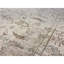 Sultanabad Hand-Knotted High-Quality Cream Area Rug