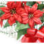 Poinsettia de Noël dans un panier-813161549