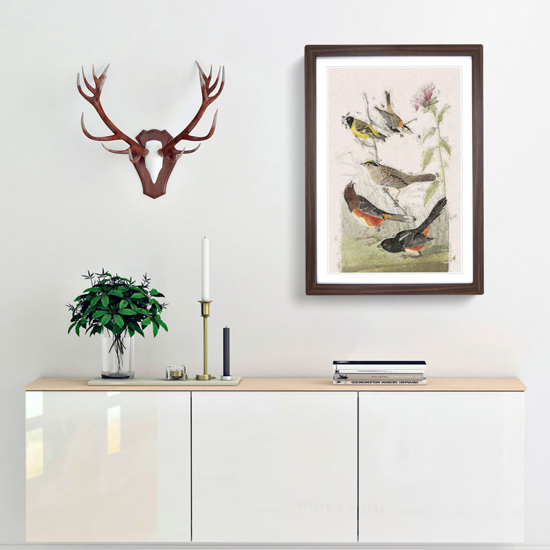 A Selection of Birds by John Audubon - Framed Print, 63cm H x 45cm W x 2cm D, Walnut Framed