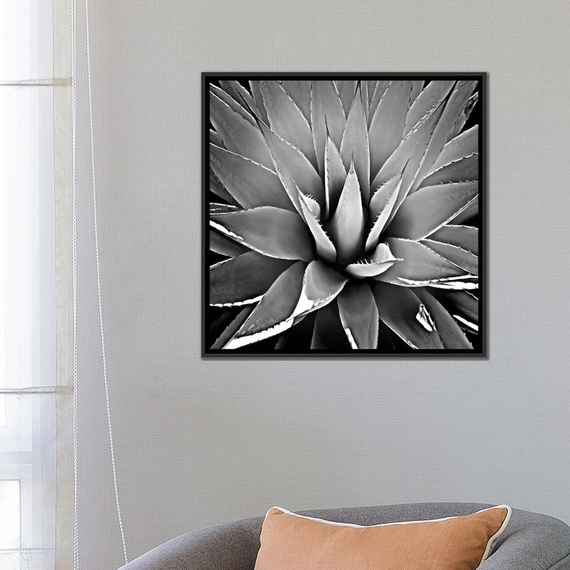 « succulent iii », impression sur toile, H 18 po x l 18 po x P 1,5 po, Toile avec cadre noir, Pas de tapis
