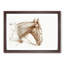 Head of a Horse by Jean Bernard - Picture Frame Drawing Print-55579939-55579940