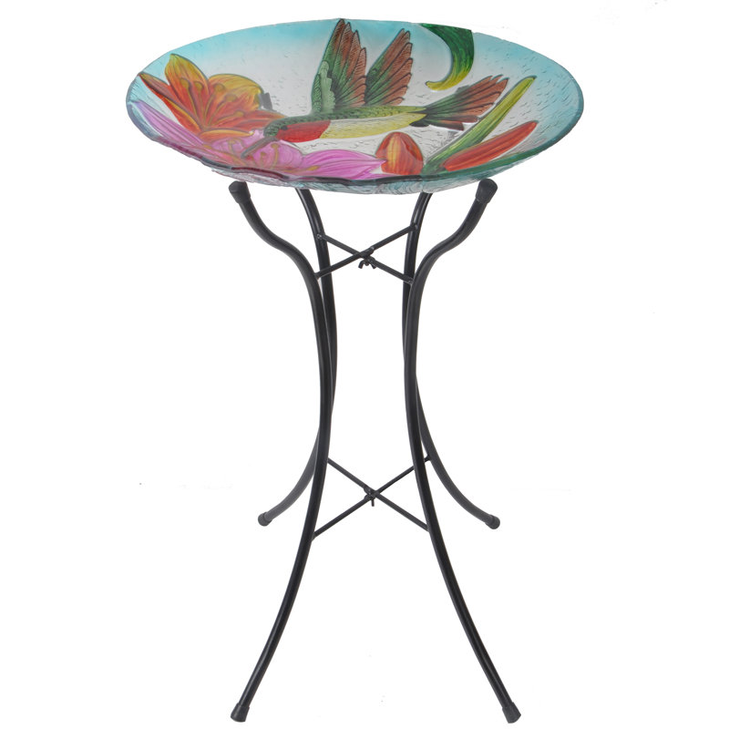 Liviana Outdoor Glass Hummingbird Birdbath