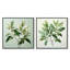 Menthe fraîche, feuilles de sérénité - ensemble de 2 feuilles carrées-800314616-800314617