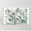 White Poppies And Eucalyptus IV - Wrapped Canvas Print-945297042