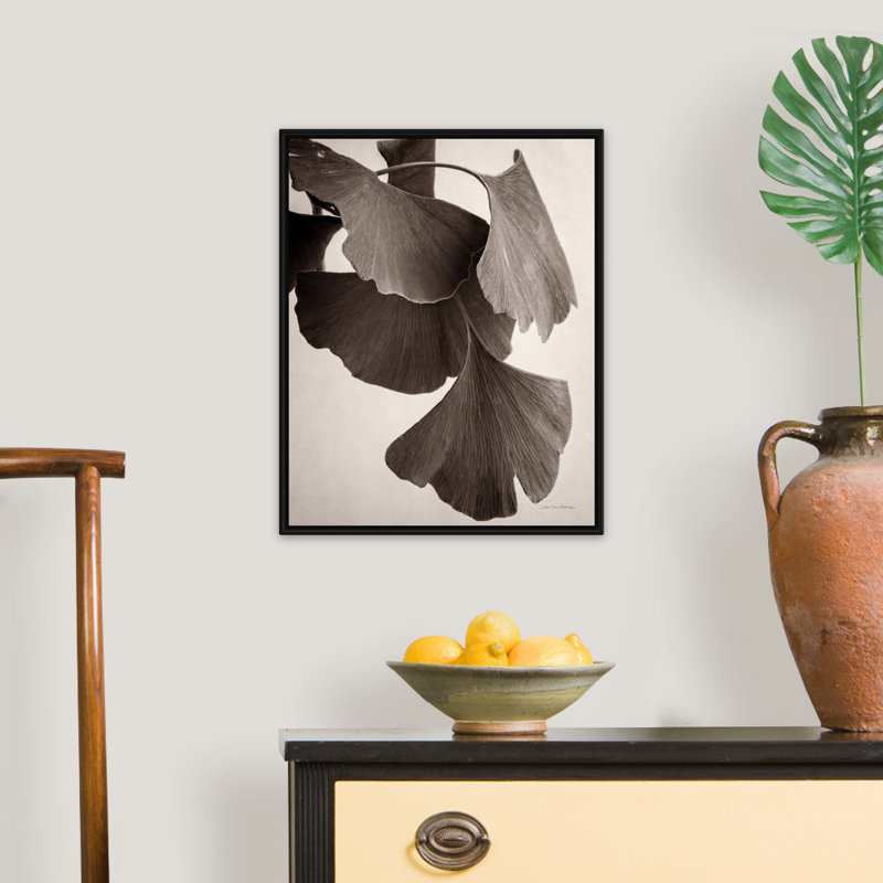 Gingko sépia - reproduction sur toile, H 22 po x l 18 po x P 1,75 po, Cadre flottant noir