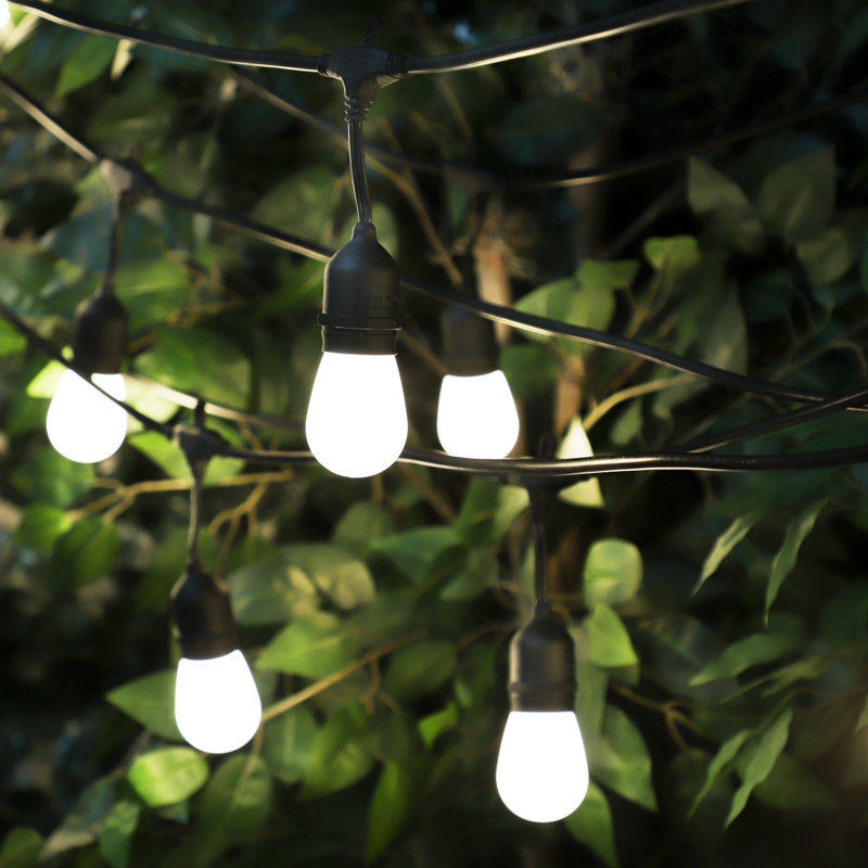 Guirlande de 20 lumières DEL Serkan givrées Edison Serkan