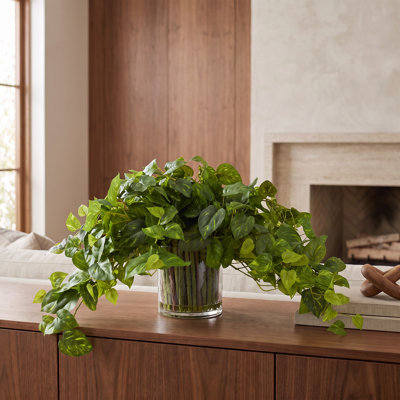 Pothos Arrangement in Glass Vase