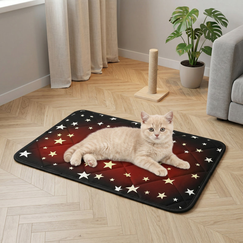 Jouet pour chat à cache-cache activé par le toucher, nouvellement amélioré