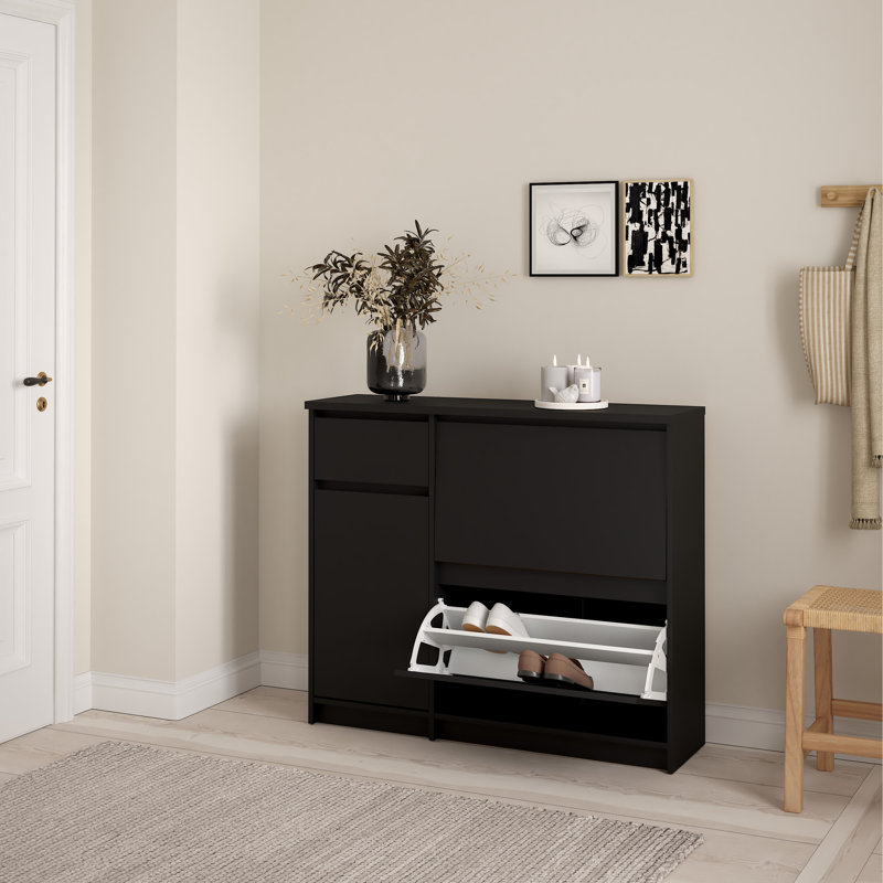Aveon 12 Pair Shoe Storage Cabinet, Black Matt