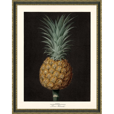 «Pineapples», reproduction d'impression encadrée