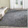 Emmie Oriental Cotton Hand Woven Area Rug