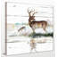 " Rustic Misty Deer "-22264405