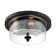 Weccacoe Glass Flush Mount